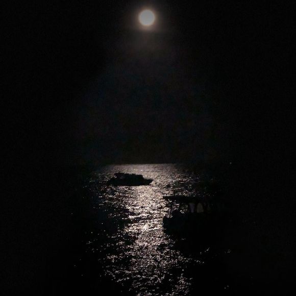 Meet your Posher, Snezana - Picture 1 of 1